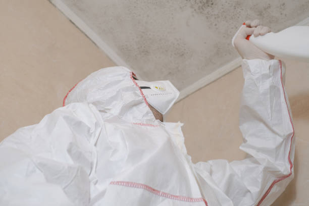 Professional Mold Remediation in Westby, WI